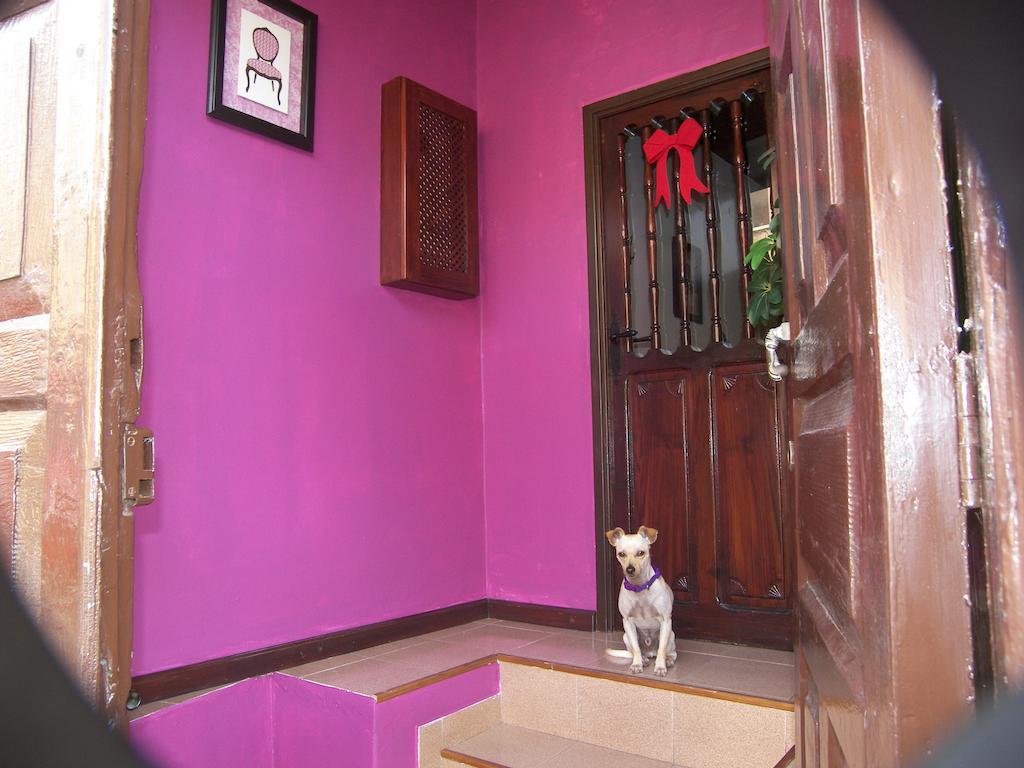 Villa Casa Luly à La Orotava Extérieur photo